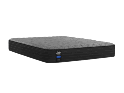 MATELAS SEALY ENERGY FIRM