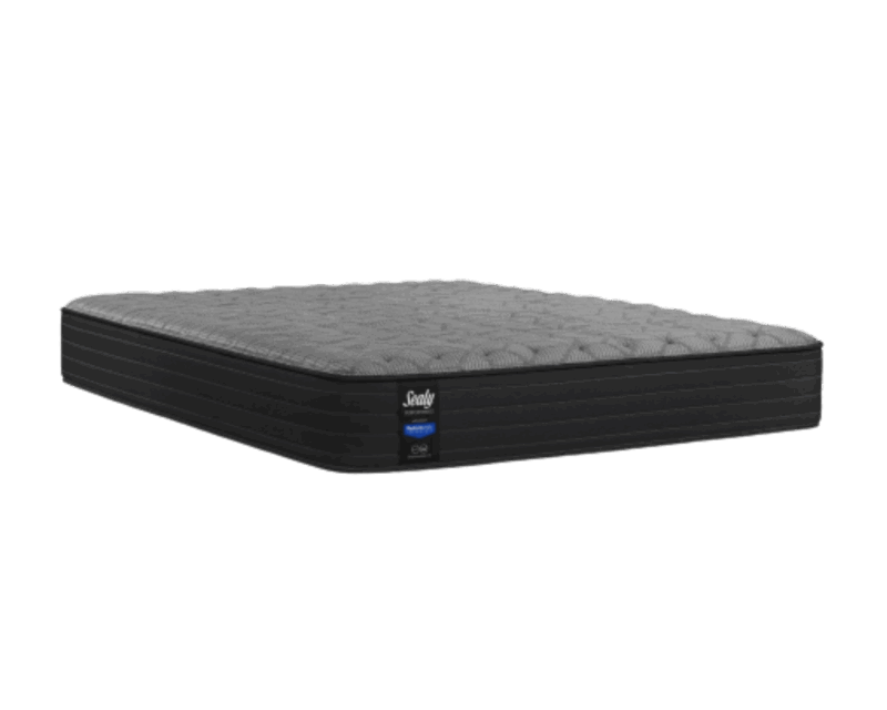 MATELAS SEALY ENERGY FIRM