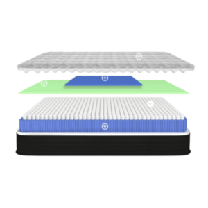 MATELAS SEALY ENERGY FIRM