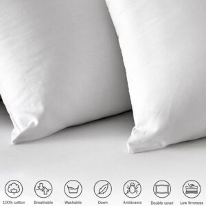 OREILLER PIKOLIN ERGONOMIC ALOE VERA
