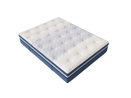 MATELAS KINÉDORSAL PROMÉDICAL